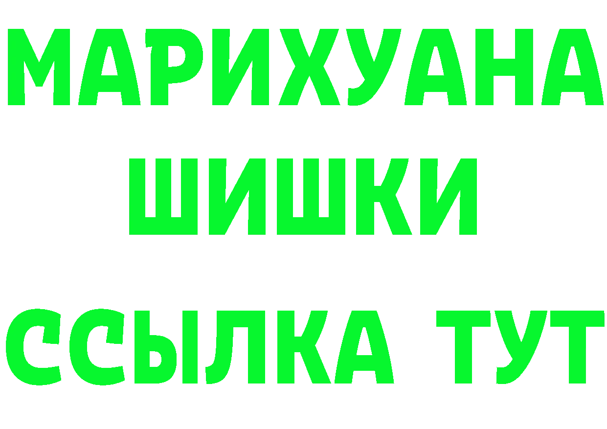 ТГК концентрат ONION shop hydra Минусинск