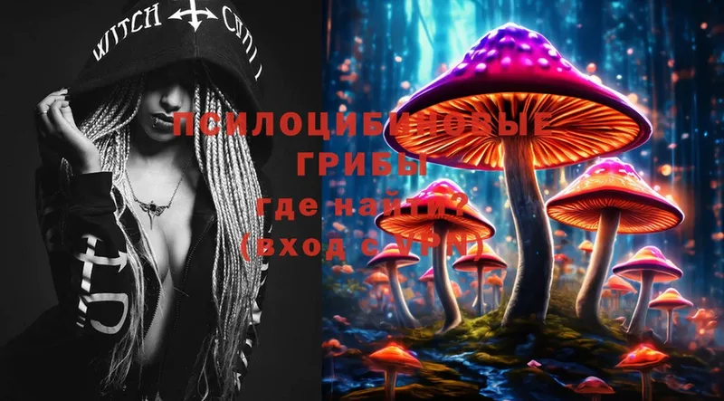 гидра ссылки  Минусинск  Галлюциногенные грибы Psilocybe 